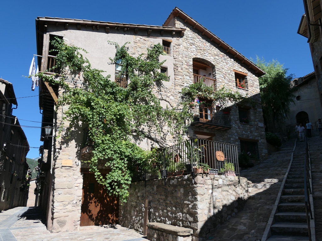 Baga