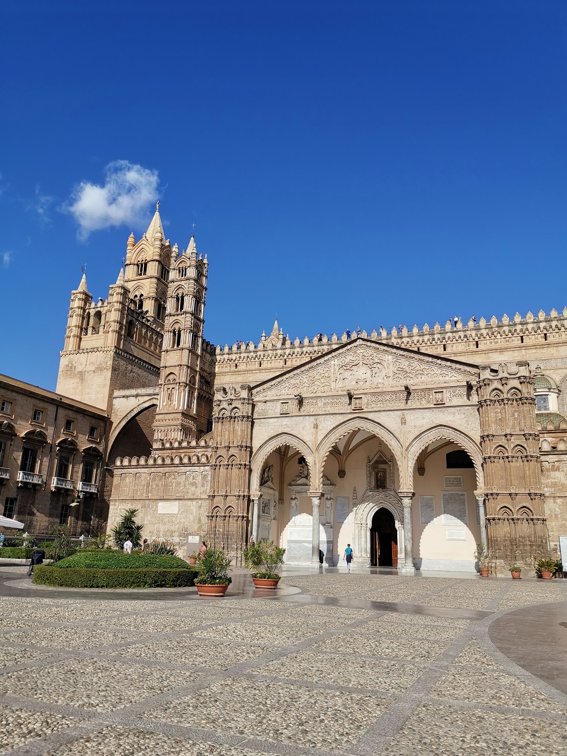 Cattedrale di Palermo (1)1