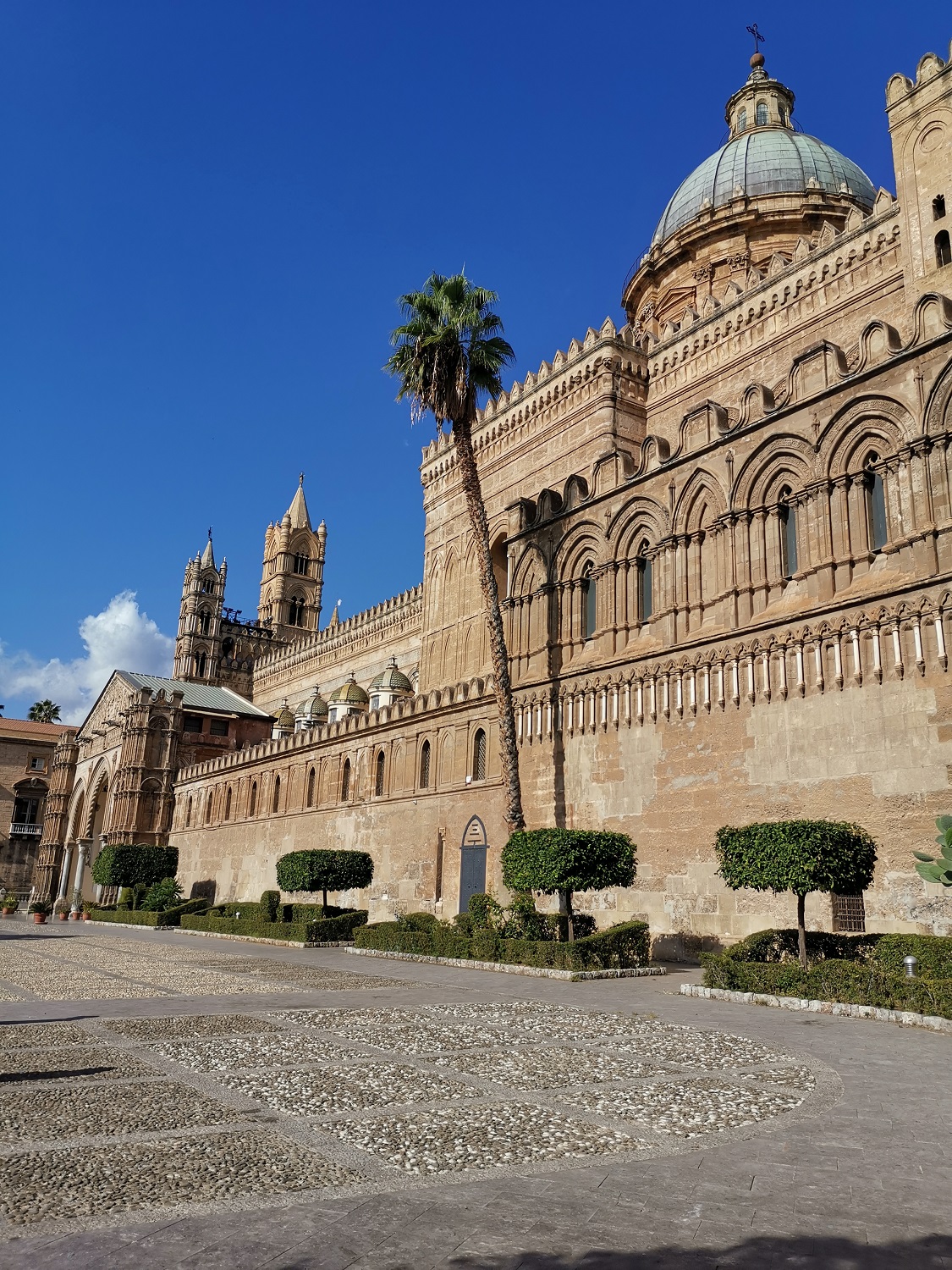 Cattedrale di Palermo (4)1